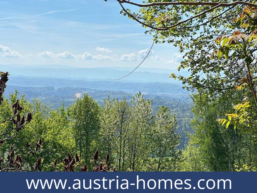 austria-homes-bad gams-8524-20251010221925-0032401007.jpg austria-homes-bad gams-8524-20251010221925-0032401007.jpg